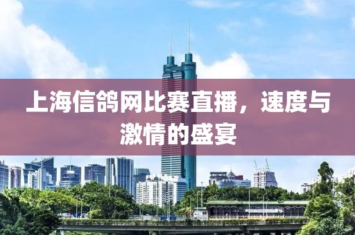 上海信鴿網(wǎng)比賽直播，速度與激情的盛宴