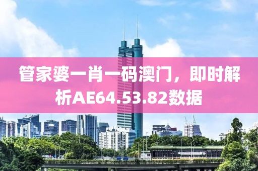 管家婆一肖一碼澳門，即時解析AE64.53.82數(shù)據(jù)