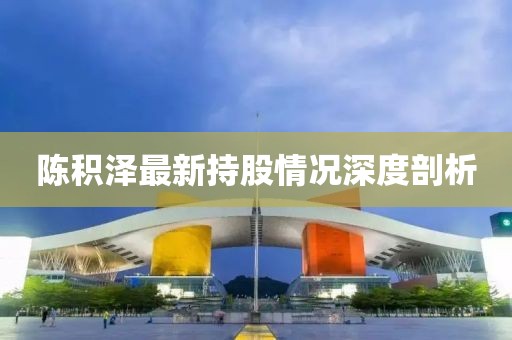 陳積澤最新持股情況深度剖析