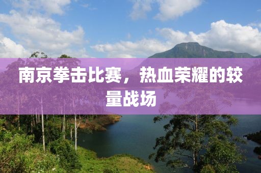 南京拳擊比賽，熱血榮耀的較量戰(zhàn)場(chǎng)