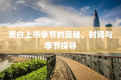 茭白上市季節(jié)的奧秘，時(shí)間與季節(jié)探尋