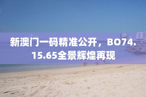 新澳門一碼精準(zhǔn)公開，BO74.15.65全景輝煌再現(xiàn)