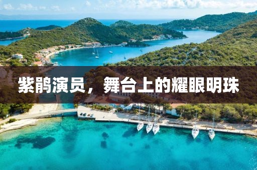 紫鵑演員，舞臺(tái)上的耀眼明珠