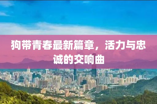 狗帶青春最新篇章，活力與忠誠的交響曲