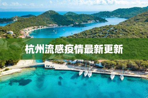 杭州流感疫情最新更新