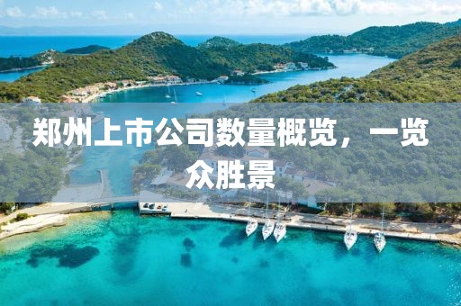 鄭州上市公司數量概覽，一覽眾勝景