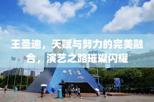 王圣迪，天賦與努力的完美融合，演藝之路璀璨閃耀