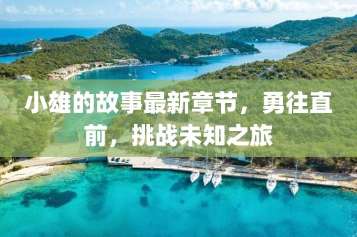 小雄的故事最新章節(jié)，勇往直前，挑戰(zhàn)未知之旅