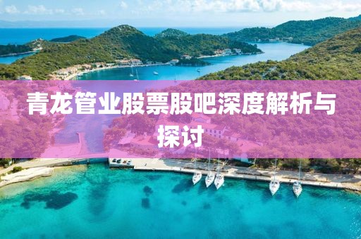 青龍管業(yè)股票股吧深度解析與探討