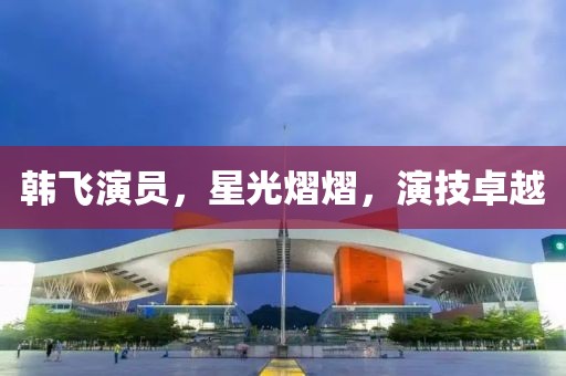 韓飛演員，星光熠熠，演技卓越
