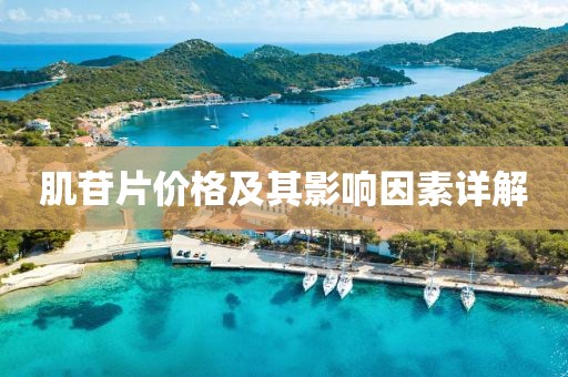 肌苷片價格及其影響因素詳解