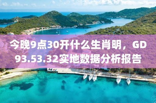 今晚9點30開什么生肖明，GD93.53.32實地數(shù)據(jù)分析報告