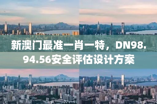 新澳門(mén)最準(zhǔn)一肖一特，DN98.94.56安全評(píng)估設(shè)計(jì)方案