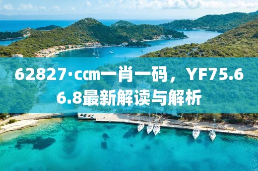 62827·c㎝一肖一碼，YF75.66.8最新解讀與解析