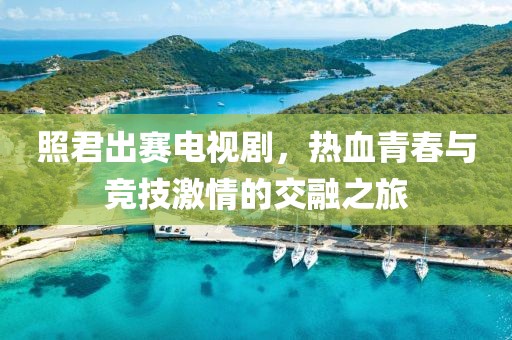 照君出賽電視劇，熱血青春與競(jìng)技激情的交融之旅