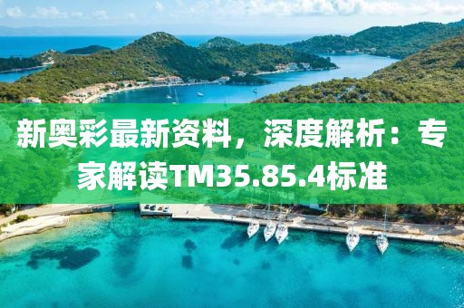 新奧彩最新資料，深度解析：專家解讀TM35.85.4標準
