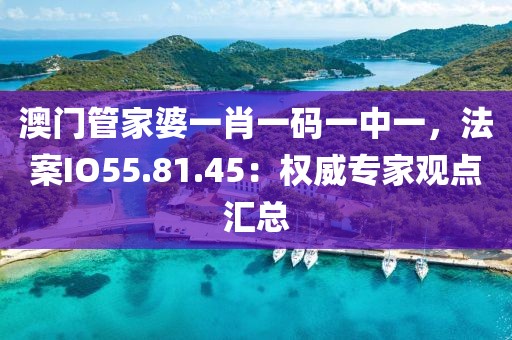 澳門管家婆一肖一碼一中一，法案IO55.81.45：權(quán)威專家觀點(diǎn)匯總