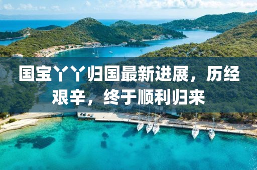 國寶丫丫歸國最新進(jìn)展，歷經(jīng)艱辛，終于順利歸來