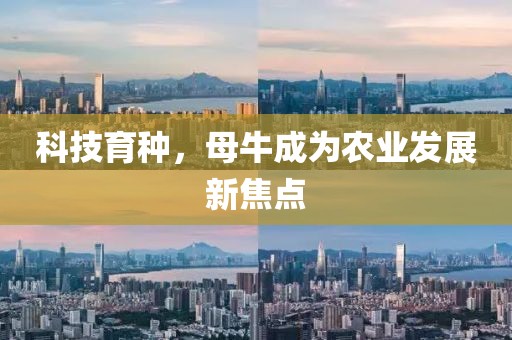 科技育種，母牛成為農業(yè)發(fā)展新焦點