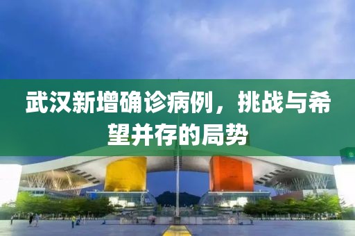 武漢新增確診病例，挑戰(zhàn)與希望并存的局勢