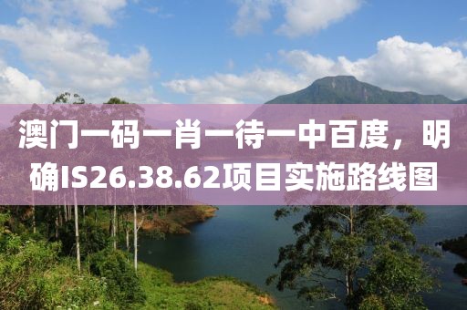 澳門一碼一肖一待一中百度，明確IS26.38.62項目實施路線圖