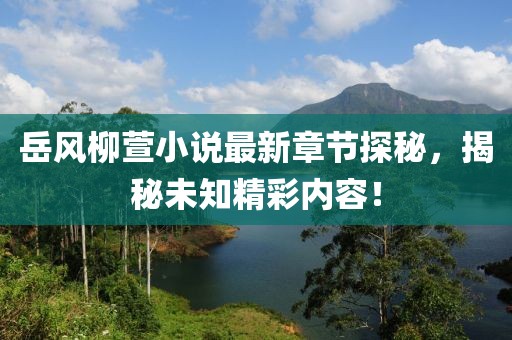 岳風柳萱小說最新章節(jié)探秘，揭秘未知精彩內(nèi)容！