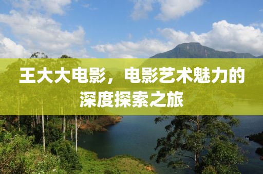 王大大電影，電影藝術(shù)魅力的深度探索之旅