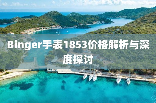 Binger手表1853價格解析與深度探討