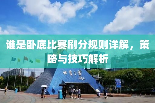 誰(shuí)是臥底比賽刷分規(guī)則詳解，策略與技巧解析
