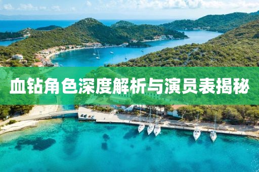 血鉆角色深度解析與演員表揭秘