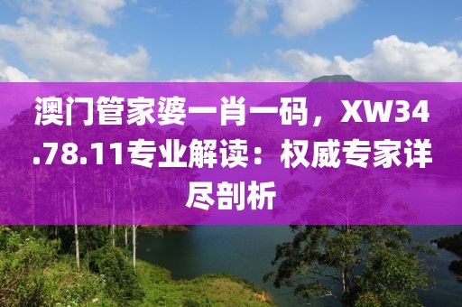 澳門(mén)管家婆一肖一碼，XW34.78.11專業(yè)解讀：權(quán)威專家詳盡剖析