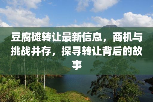 豆腐攤轉(zhuǎn)讓最新信息，商機(jī)與挑戰(zhàn)并存，探尋轉(zhuǎn)讓背后的故事