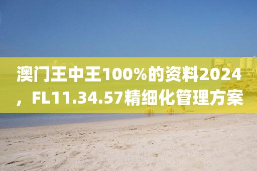 澳門王中王100%的資料2024，F(xiàn)L11.34.57精細化管理方案