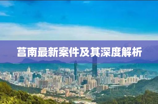 莒南最新案件及其深度解析