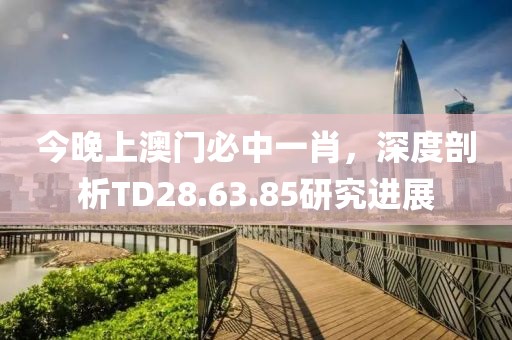 今晚上澳門必中一肖，深度剖析TD28.63.85研究進(jìn)展