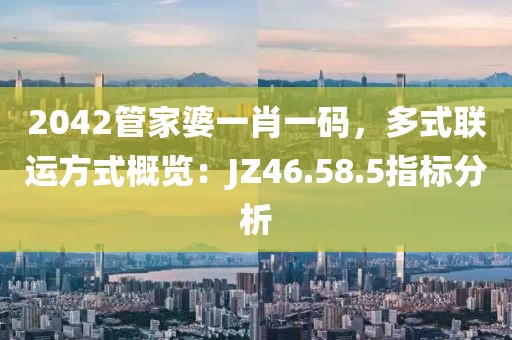 2042管家婆一肖一碼，多式聯(lián)運方式概覽：JZ46.58.5指標分析