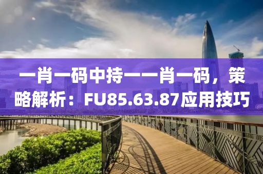 一肖一碼中持一一肖一碼，策略解析：FU85.63.87應(yīng)用技巧