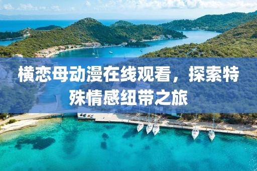 橫戀母動漫在線觀看，探索特殊情感紐帶之旅