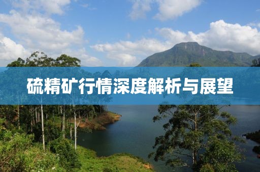 硫精礦行情深度解析與展望