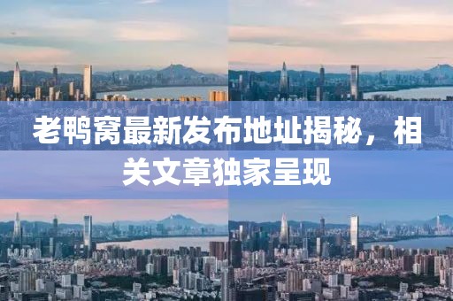 老鴨窩最新發(fā)布地址揭秘，相關(guān)文章獨(dú)家呈現(xiàn)