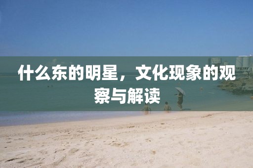 什么東的明星，文化現(xiàn)象的觀察與解讀
