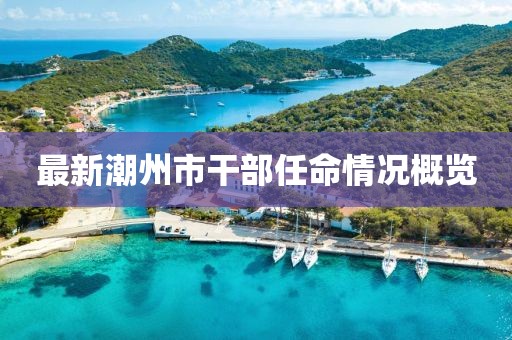最新潮州市干部任命情況概覽
