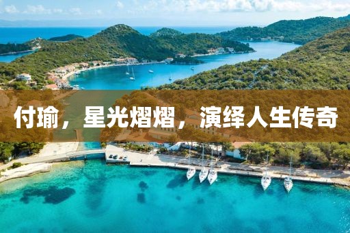 付瑜，星光熠熠，演繹人生傳奇