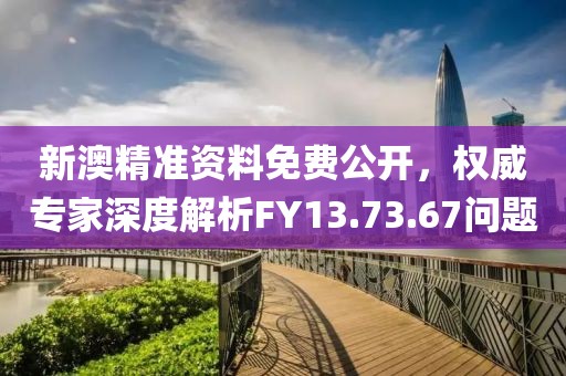 新澳精準資料免費公開，權威專家深度解析FY13.73.67問題