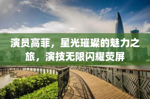 演員高菲，星光璀璨的魅力之旅，演技無(wú)限閃耀熒屏