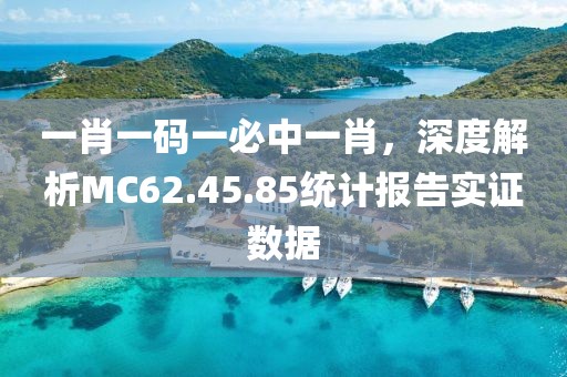 一肖一碼一必中一肖，深度解析MC62.45.85統(tǒng)計(jì)報(bào)告實(shí)證數(shù)據(jù)