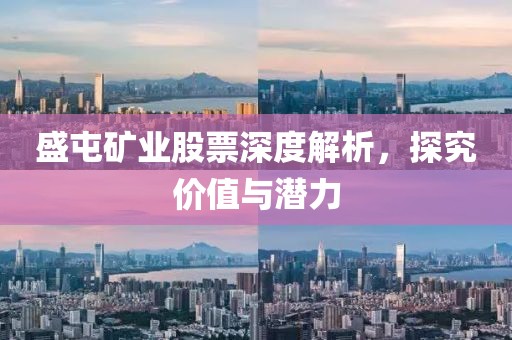 盛屯礦業(yè)股票深度解析，探究價值與潛力