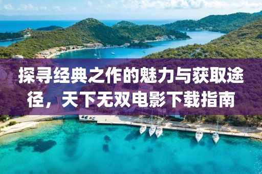 探尋經(jīng)典之作的魅力與獲取途徑，天下無(wú)雙電影下載指南