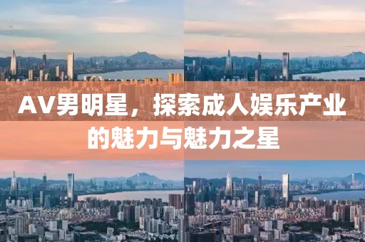 AV男明星，探索成人娛樂產(chǎn)業(yè)的魅力與魅力之星
