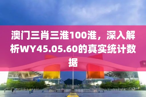 澳門三肖三淮100淮，深入解析WY45.05.60的真實統(tǒng)計數(shù)據(jù)